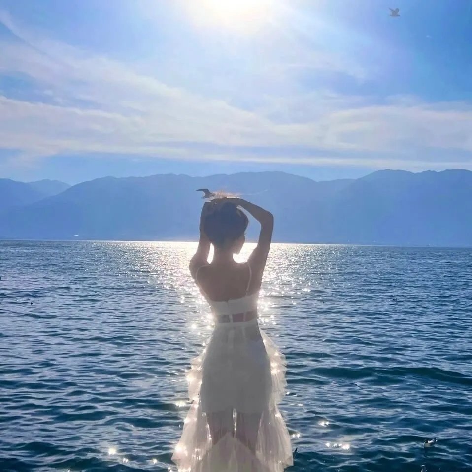 海豚新历险记